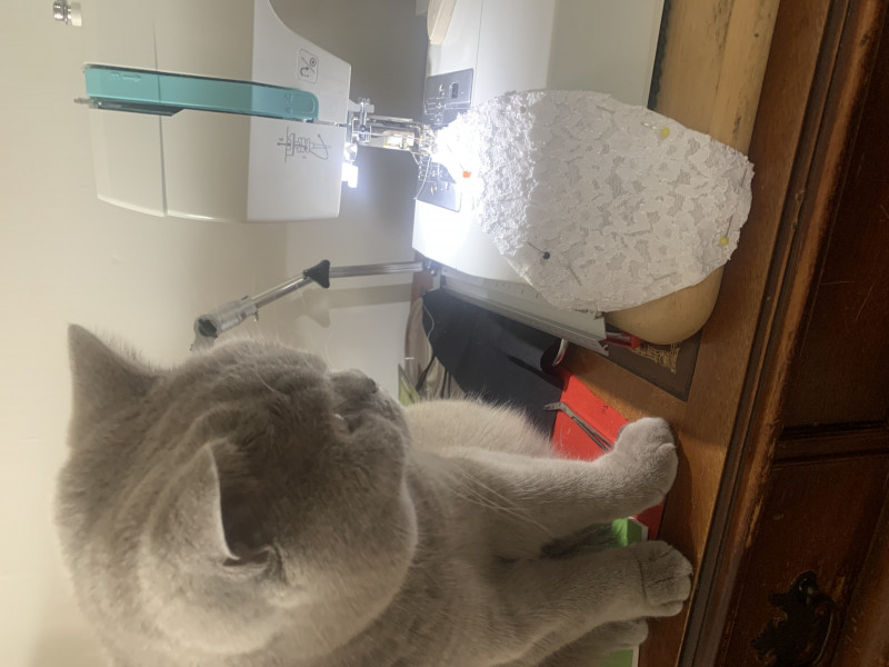 Stitch and bitch thread #4 I needle the help I can get.