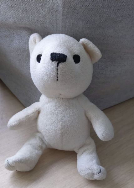 Teddy Identification