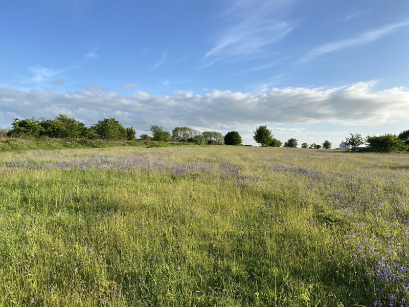 Would you walk across a field alone?