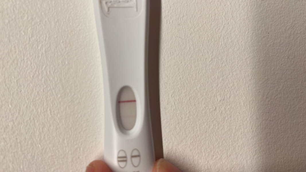 IVF April/May 2022