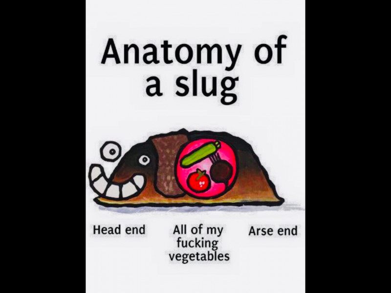 Eco way to kill snails