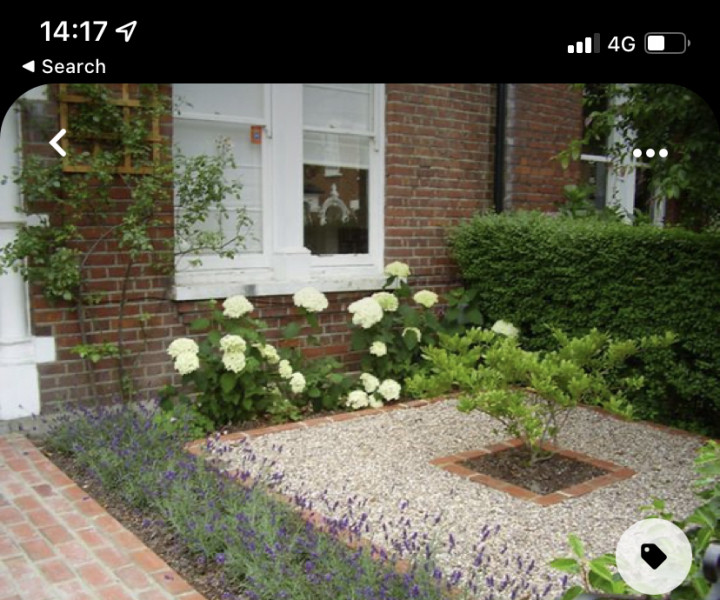 Help with plant choices