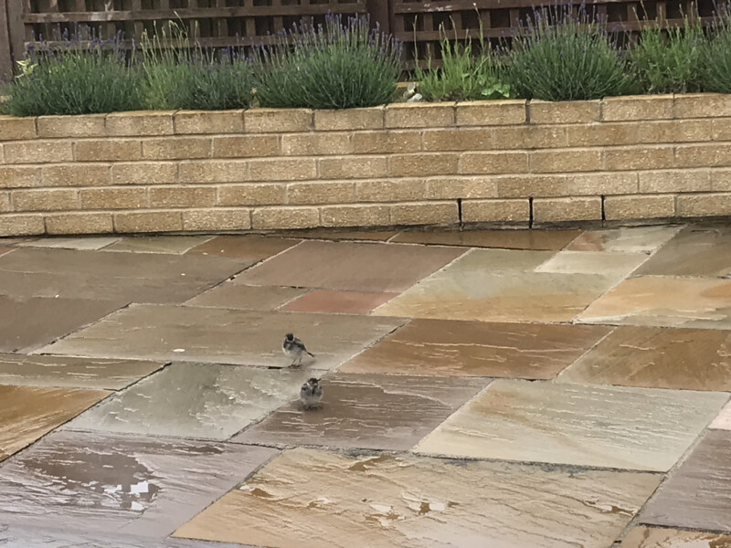 Come and tell me your dull and unexciting news 22: Calmly through the day