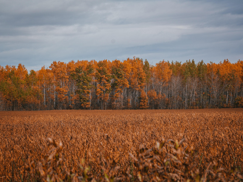 Android Developer Tests