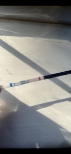 7/8 dpo - can you see a faint shadow of a line or have I lost the plot?