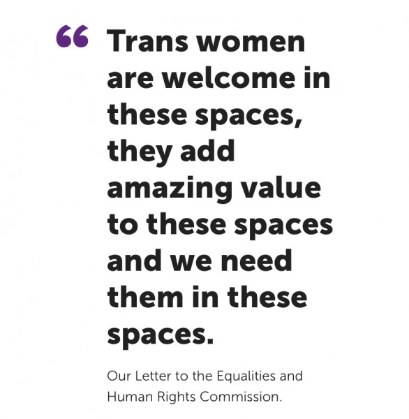 AIBU to think that women’s rape crisis therapy should NOT be mixed-sex?