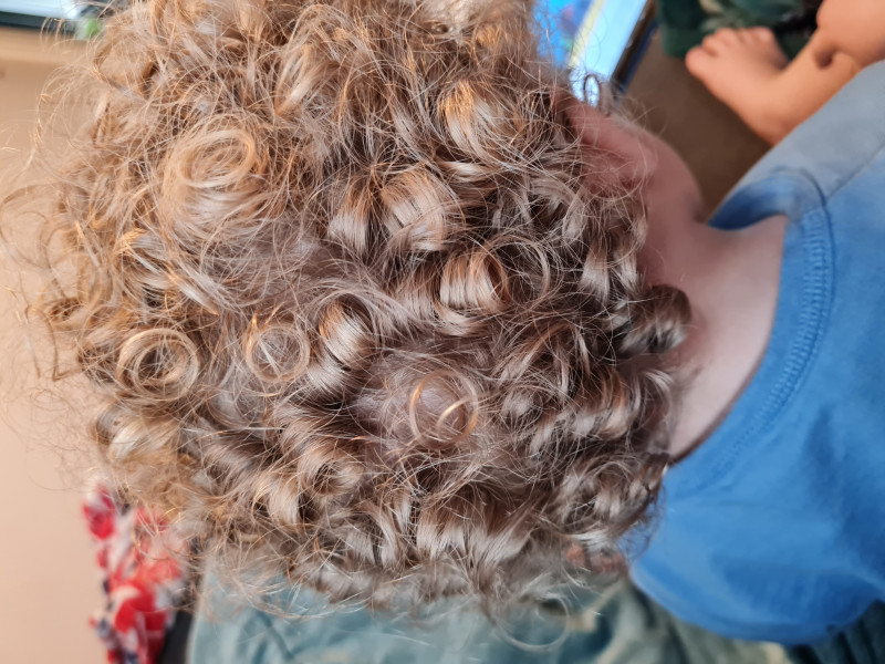 Curly coily hair care for toddler?