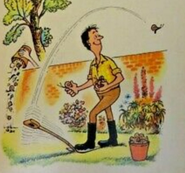 Eco way to kill snails and slugs