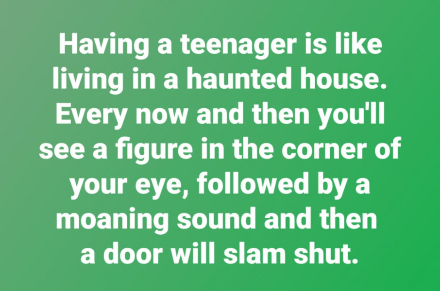 Surely 4 is the most annoying age