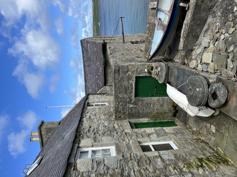 Cancer support thread #82