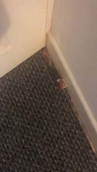 Slugs!