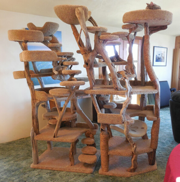 Allison Bailey v Stonewall - Employment Tribunal hearing Thread 14