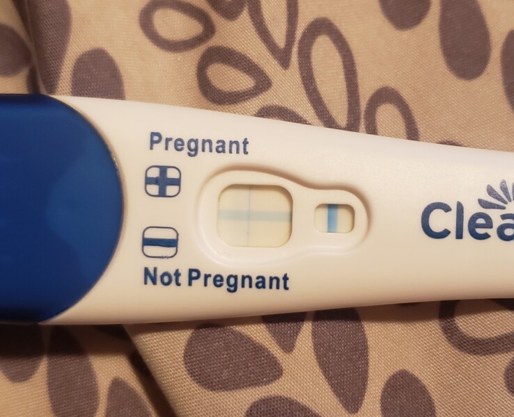4 pregnancy tests, 2 postive and 2 negative!