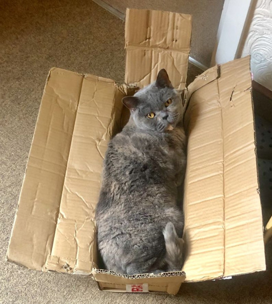 Swagger Inn 171.  Spring is just around the corner, but the HBFs still need their overcoats to keep us warm.