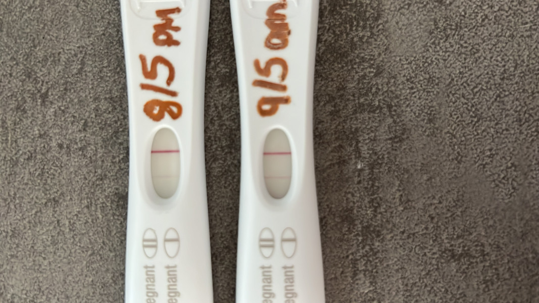 IVF April/May 2022
