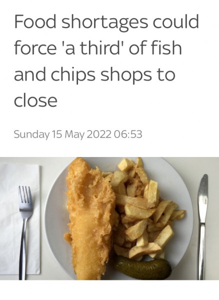 Fish and chip story