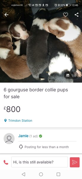 FB marketplace beauties 