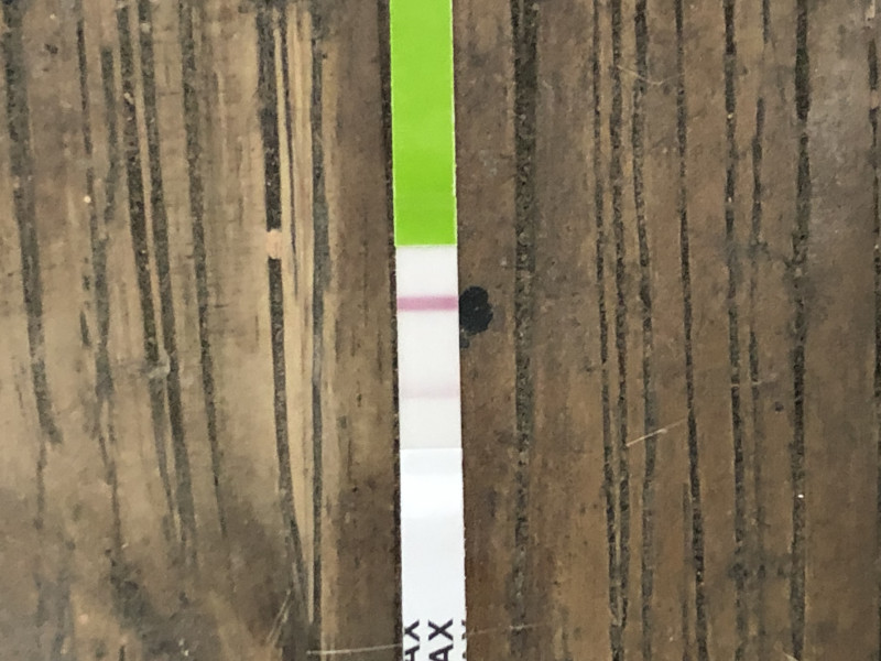 🌈 Ttc after miscarriage thread 7 🌈💕🤞✨