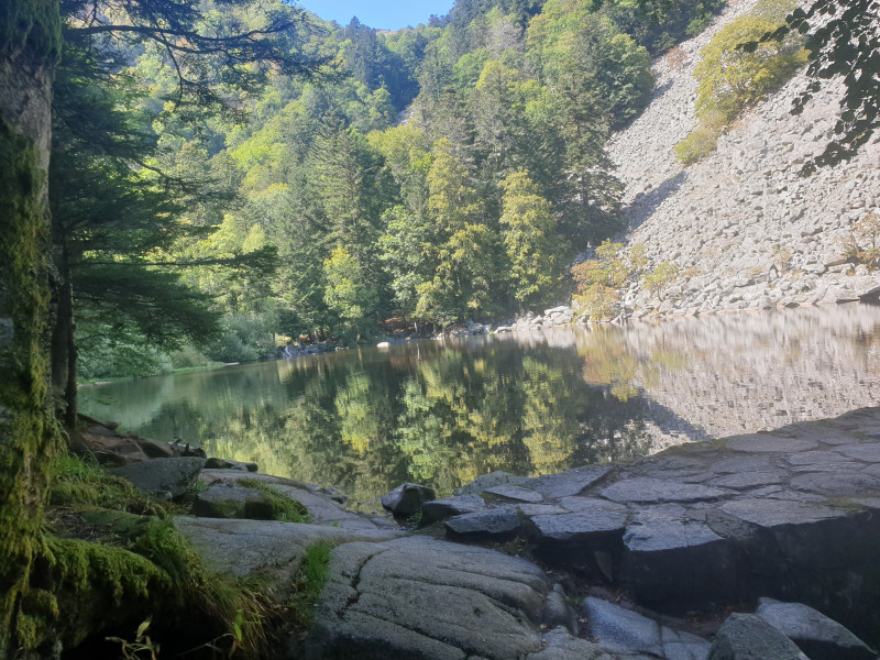 Come chat hiking with me!