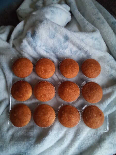 Allison Bailey v Stonewall - Employment Tribunal hearing Thread 13