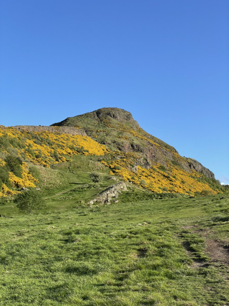 Come chat hiking with me!