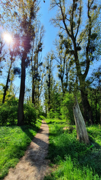 Come and tell me your dull and unexciting news 22: Calmly through the day