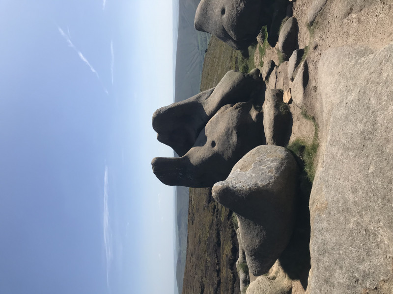 Come chat hiking with me!