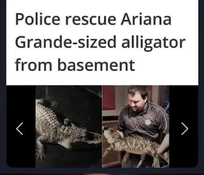 Brexit mega thread 7 : global Britain is looking rather insignificant.....