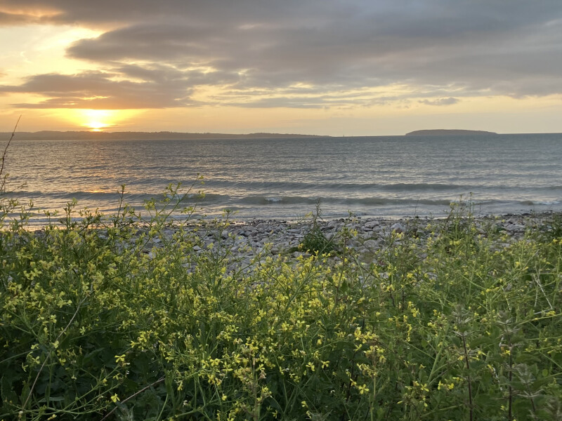 Come chat hiking with me!