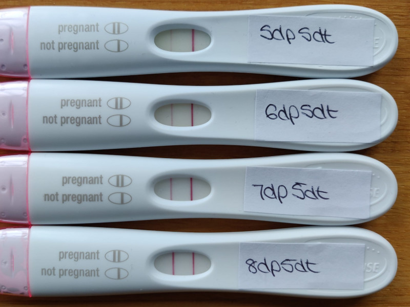 IVF April/May 2022