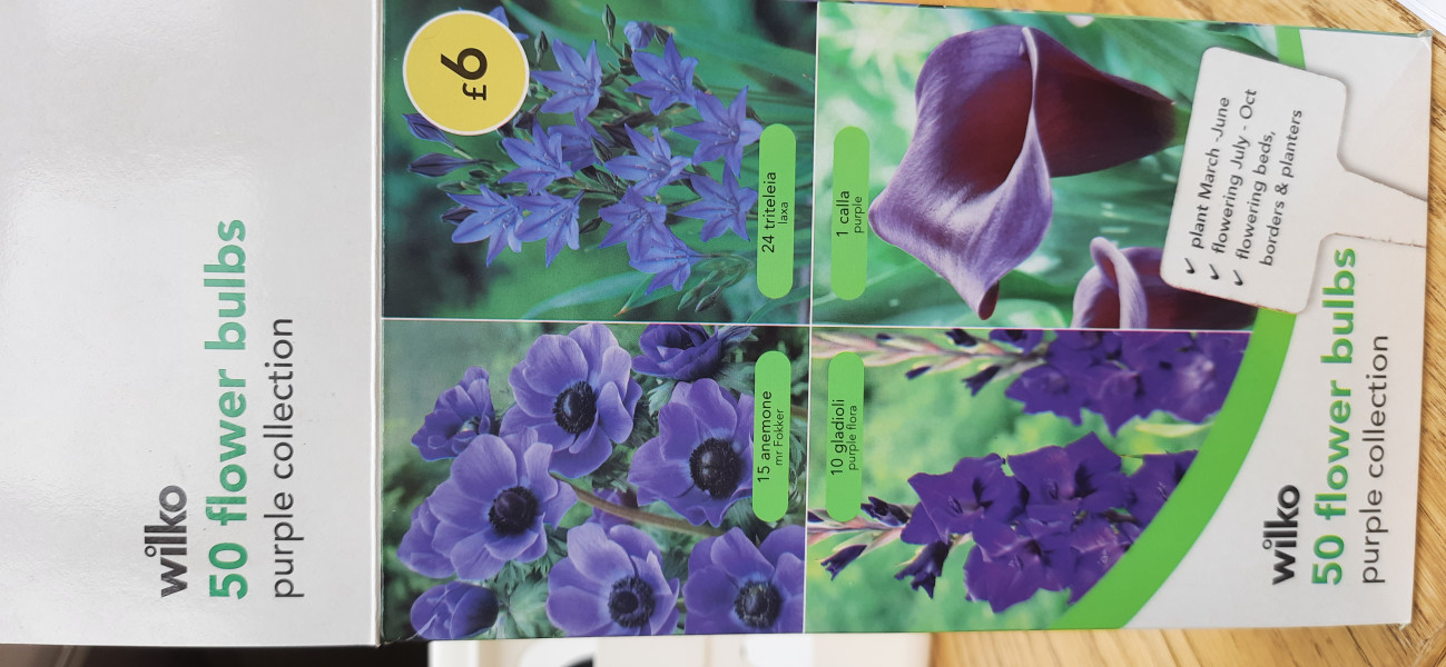 What are your favourite blue flowers?