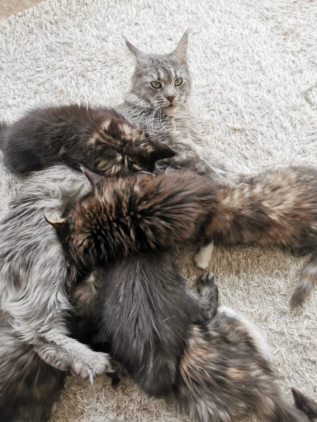 Come and tell me your dull and unexciting news 22: Calmly through the day