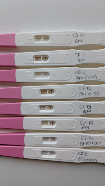 Help with reading ovulation tests