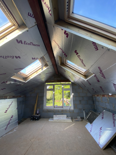Extension Thread 2022....plaster, panic and pics