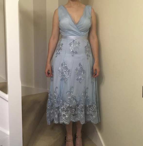 Opinions on this dress?