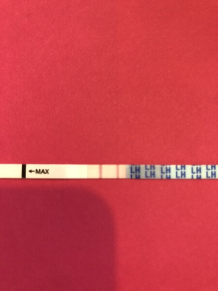 Show me your ovulation tests please