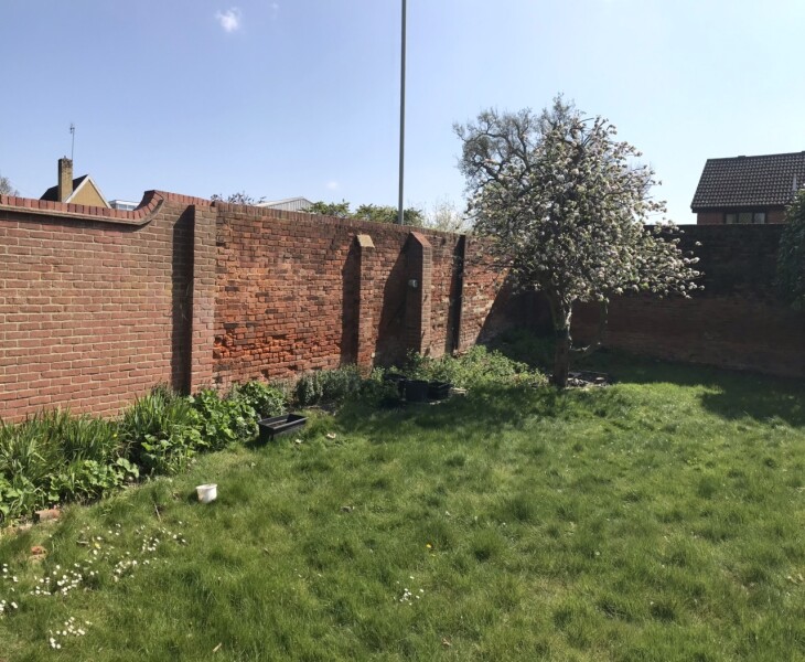 Need ideas for this messy garden! 