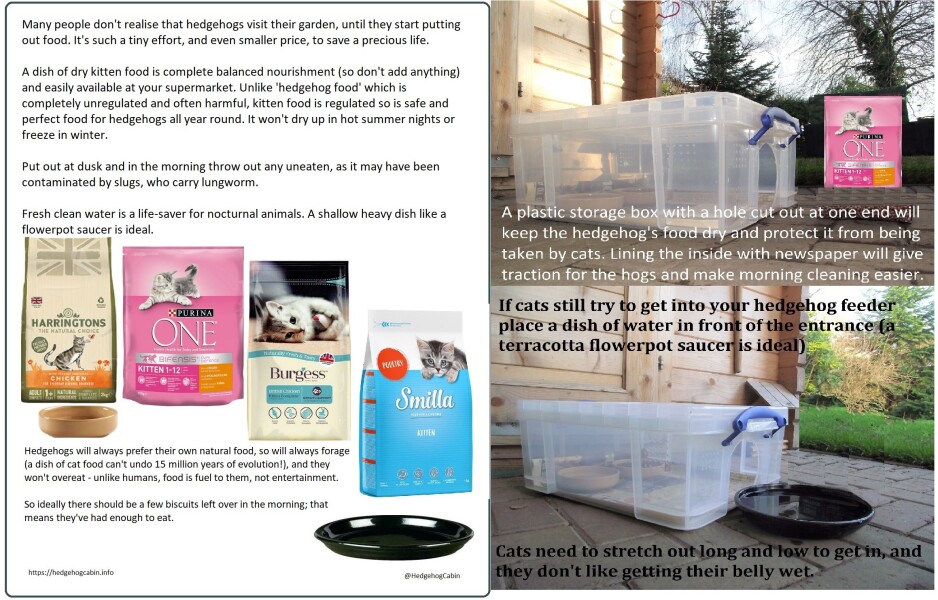 To ask you to please help hedgehogs and other wildlife prepare for winter