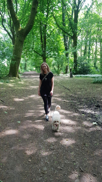 Dog Walking For Free