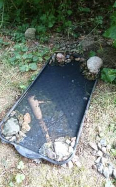 To ask you to please help hedgehogs and other wildlife prepare for winter