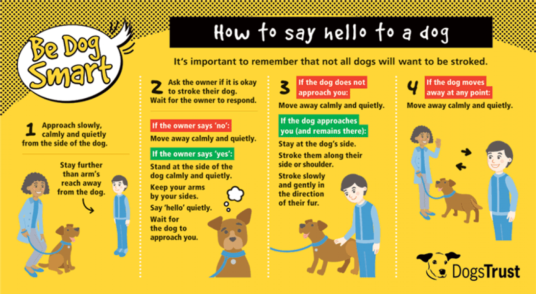 About kids harassing my dog