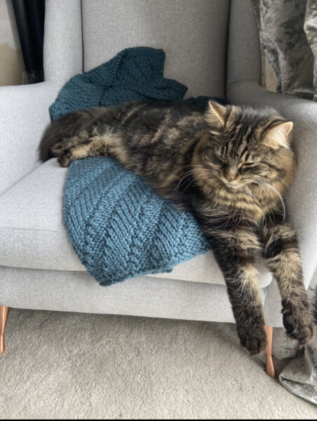 Let's see your relaxed cats