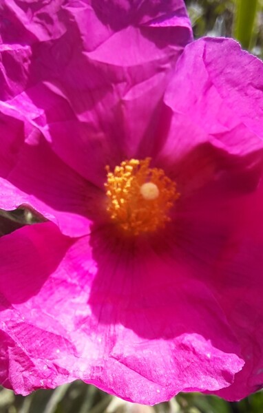 Show Us Your Pictures 6