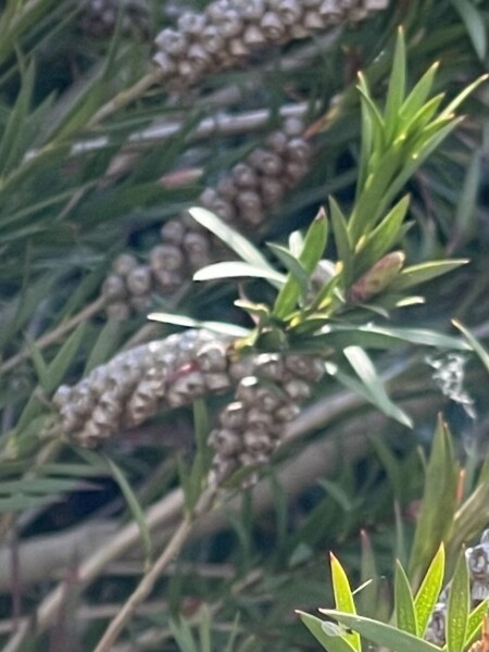 Anyone know what this is?