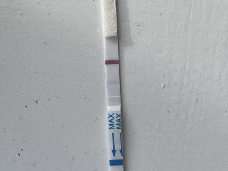 Does anyone see faint lines on this pregnancy test?