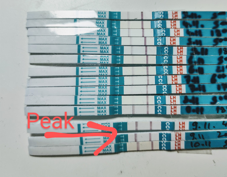 Ovulation Test help please 🙏 