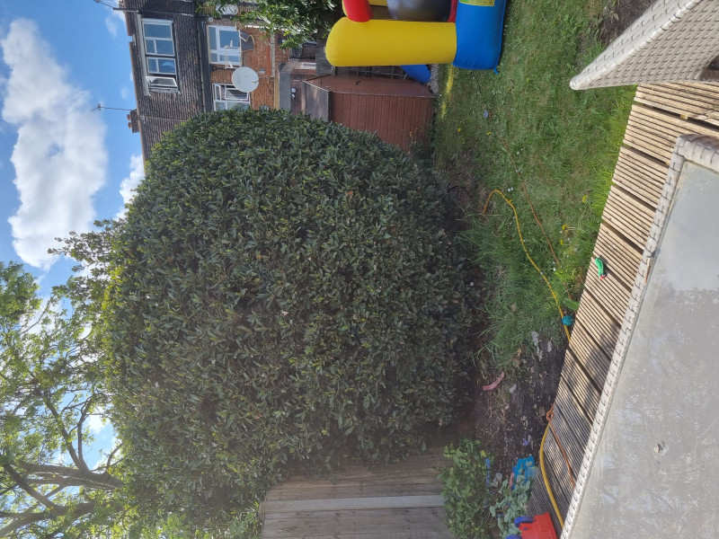 Bigger Shed : wood or concrete (pic)