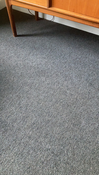 carpet vs laminate floor in Hillfoots new property, which one you vote?