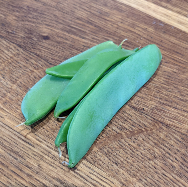 The Vegetable Patch