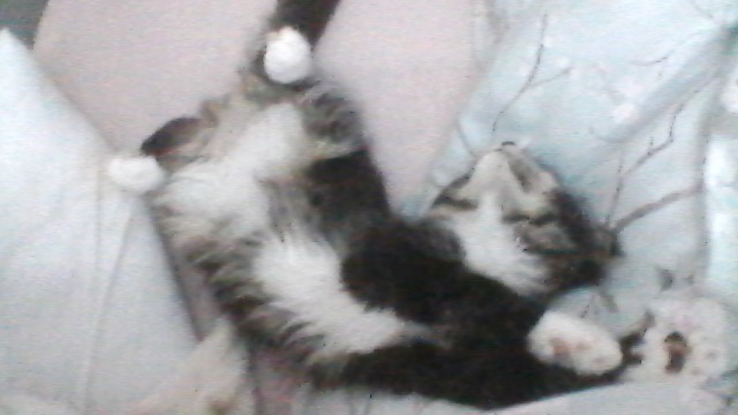 Come and tell me your dull and unexciting news 22: Calmly through the day